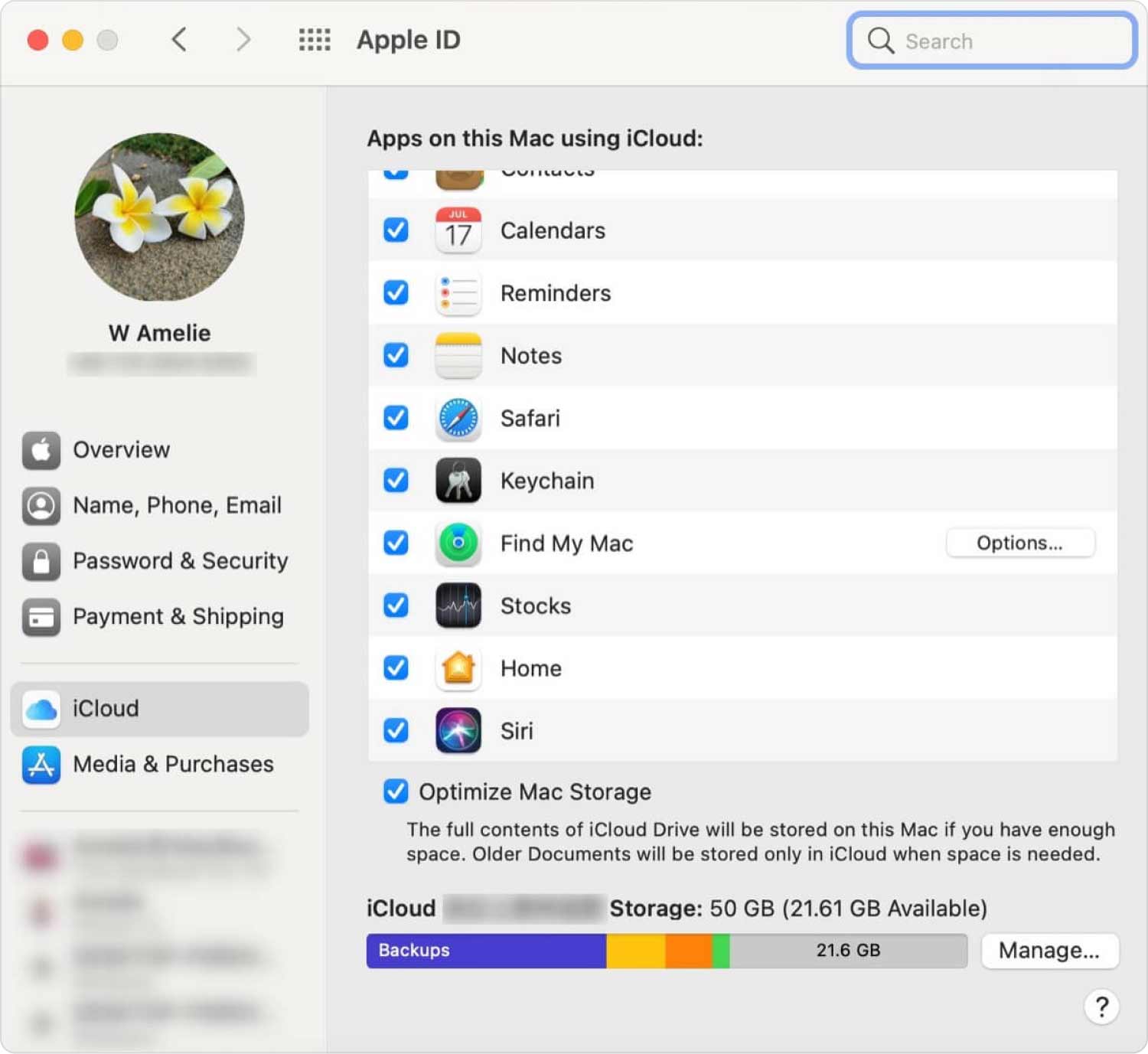 Encontre backups do iPhone no Mac usando o iCloud