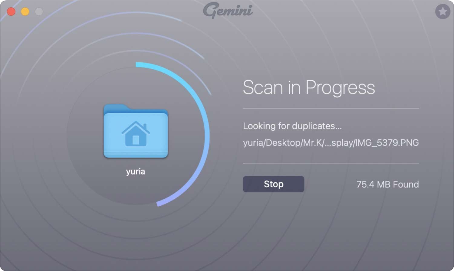 Vanligaste iTunes Cleanup Software - Gemini